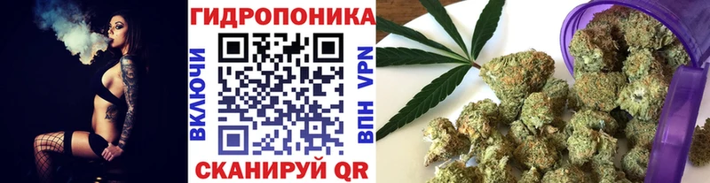 купить   Павловск  Каннабис планчик 
